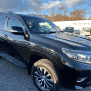 2020 Toyota Land Cruiser LUXURY