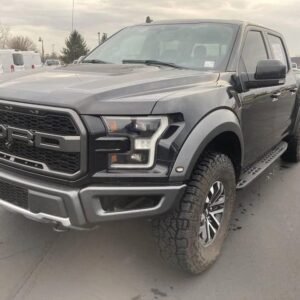 2019 Ford Raptor F150 for Sale